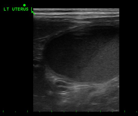 82ee8517cd55056789cb52930bc16a6a_1776137509_9491.png 82ee8517cd55056789cb52930bc16a6a_1776137509_9491.png