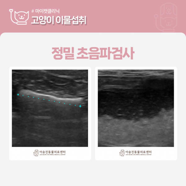 6fda747d2c42cc0343aad94be27e8846_1778814685_6991.png