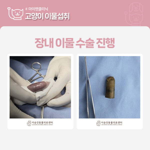 6fda747d2c42cc0343aad94be27e8846_1778814761_4098.png