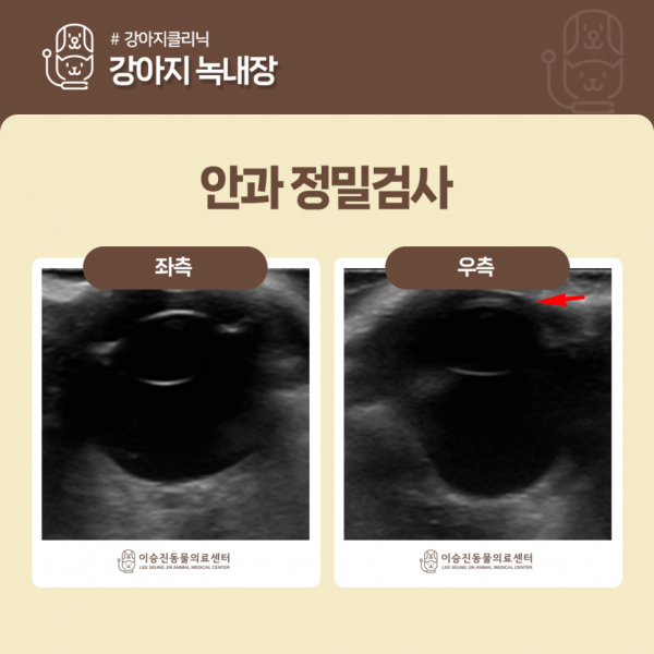6fda747d2c42cc0343aad94be27e8846_1778815968_5041.png